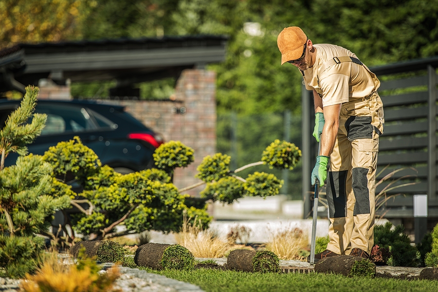lawncare008