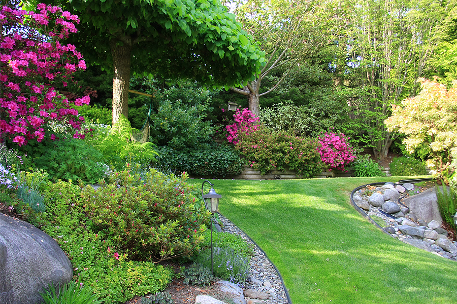 lawncare009