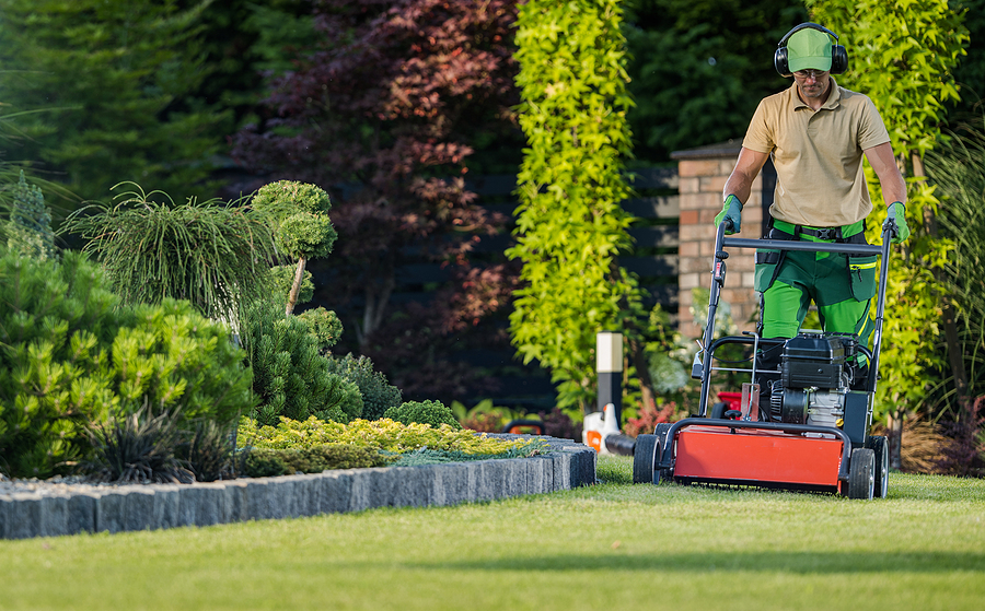 lawncare015