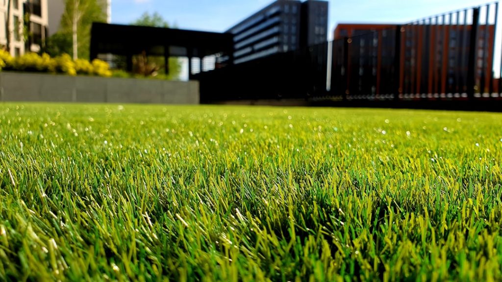 green-grass-field-c-5-qe5kbyk
