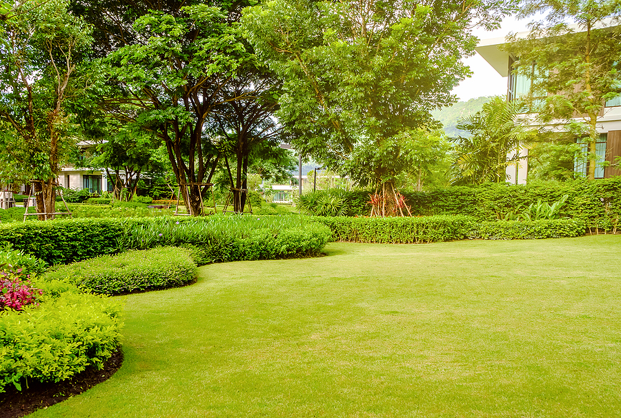 lawncare010